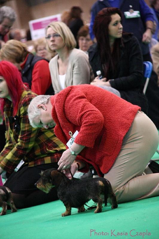 Crufts2011_2 1576.jpg